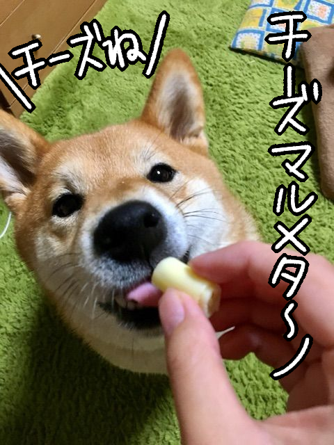 45zieqyj