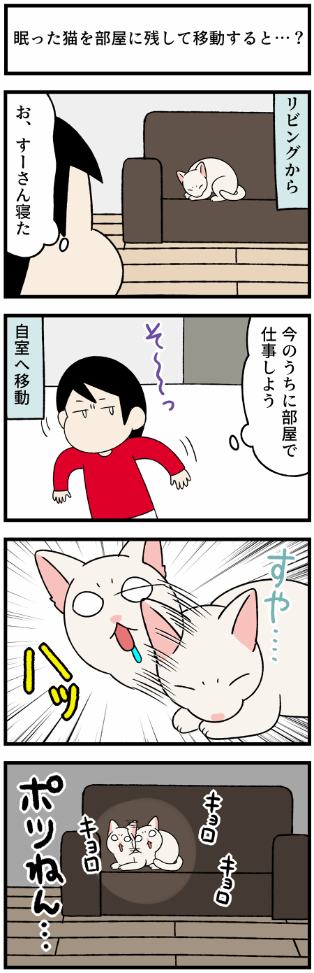 20210904猫を一人にすると1