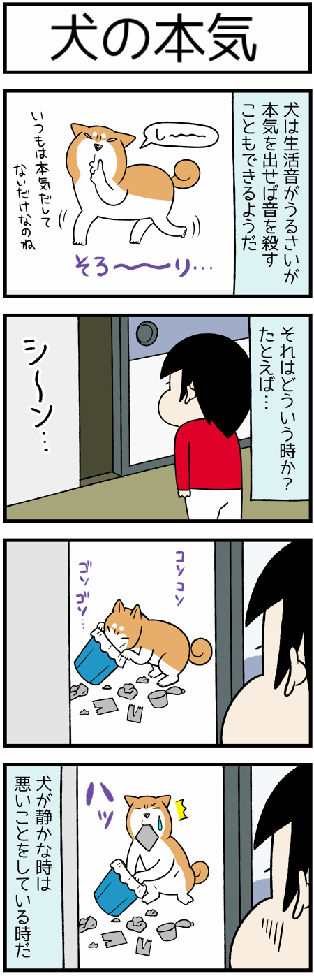 20201128犬と猫の生活音2
