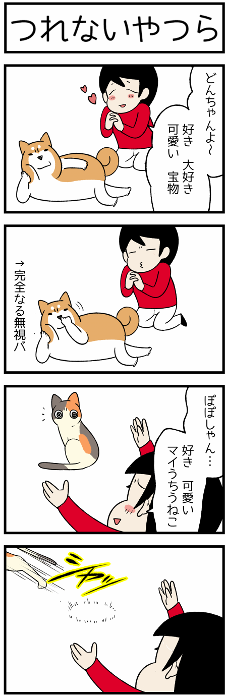 20191218つれない犬猫1