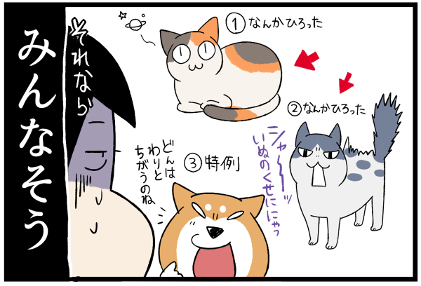20260929二つ折り猫7