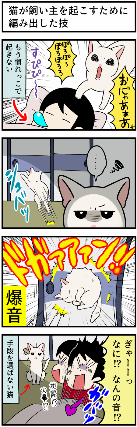 20211027ふすまに体当たり1