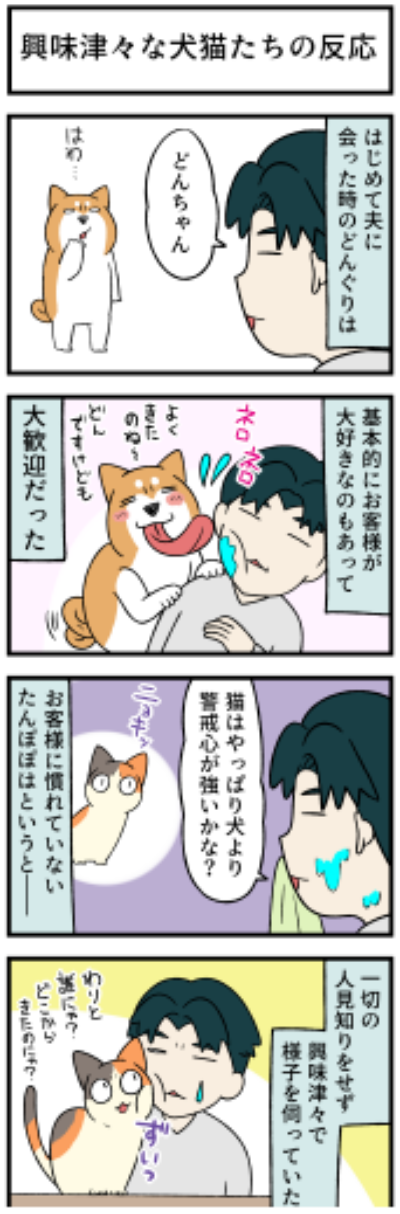20210521犬猫たちの反応