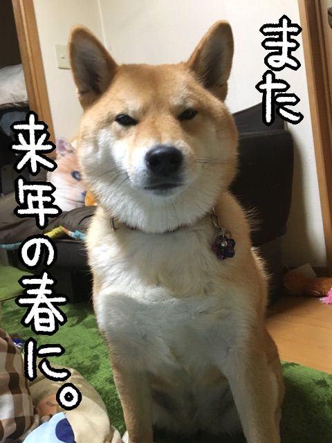 ilhlu8ea