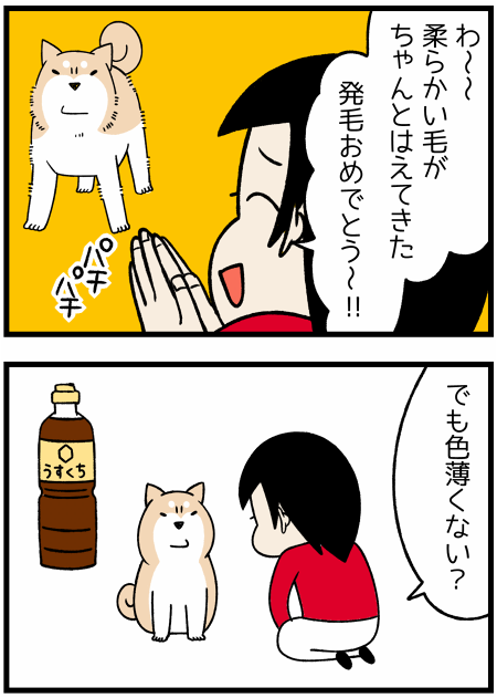 20171202うすくち2
