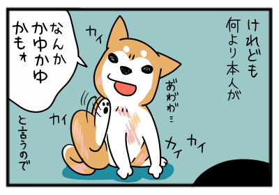 6.png