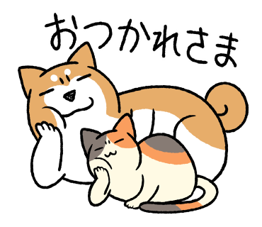 03