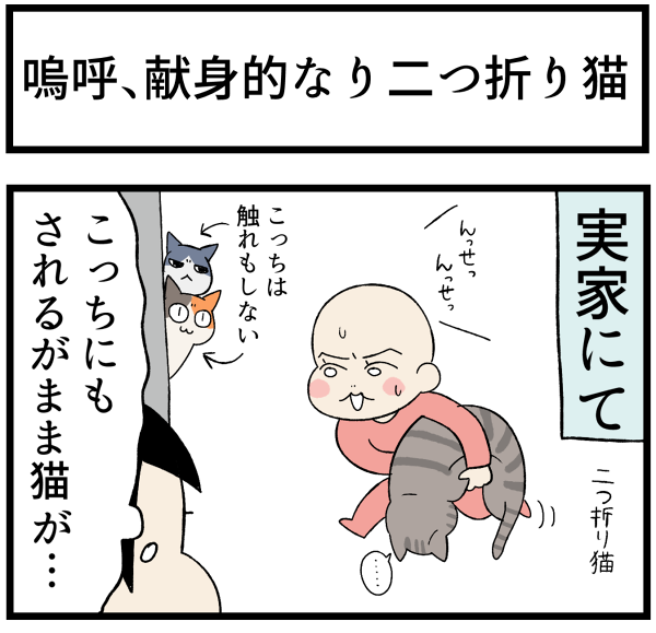 20260929二つ折り猫5