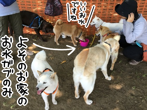 4ixhjo3h