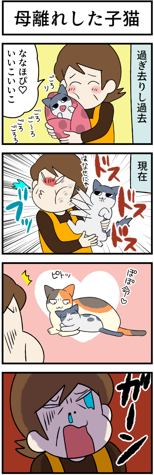 20220412母離れ1
