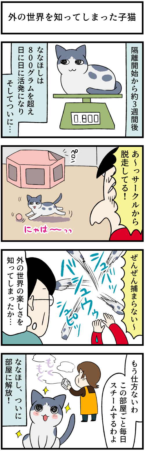20220217秘密兵器2