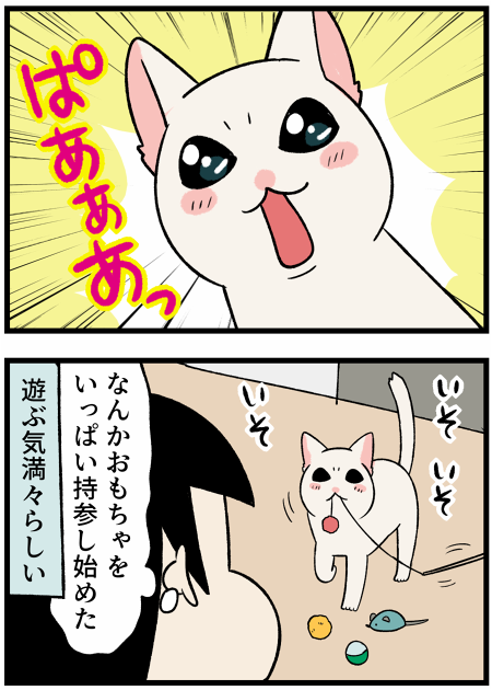 20210906持参する2