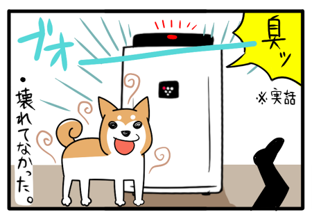 9.png