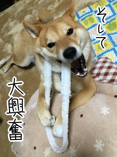 ewitn3vb