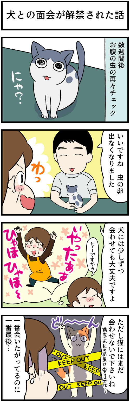 20220305面会解禁1