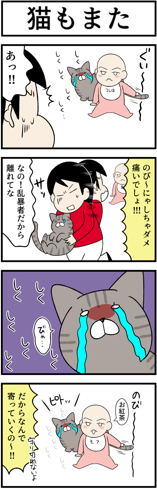 20230809猫もまた1
