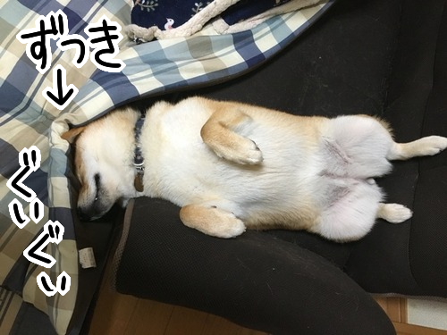 npshi71d