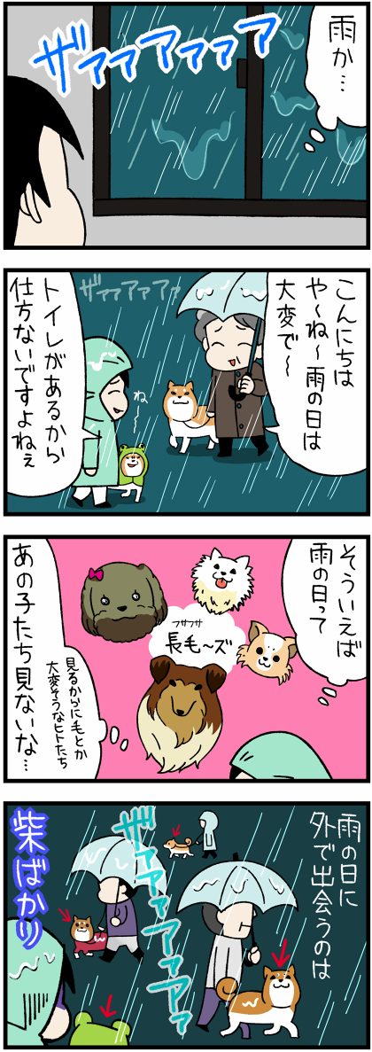 20161101雨の日は柴1