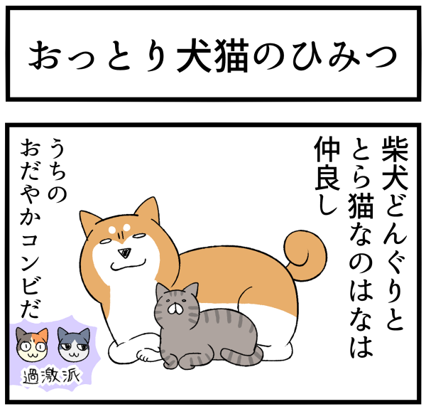 20260529おだやかコンビの秘密1