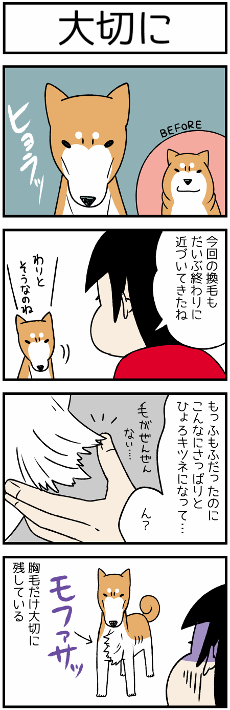 20181026胸毛1