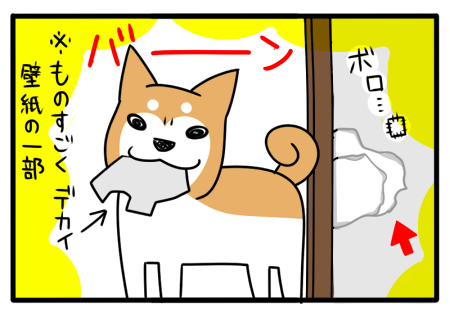 7.png