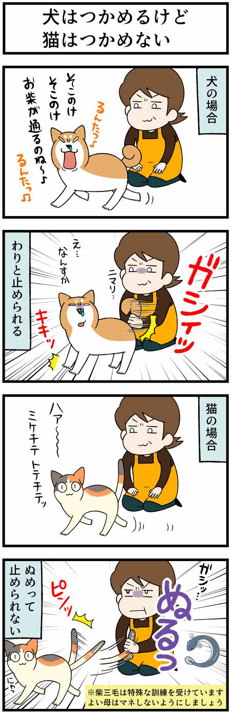 20210721掴める1