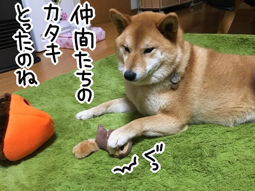 下克上だ リスをいたぶり喰らうどんぐり 柴犬 柴犬どんぐり三毛猫たんぽぽ Powered By ライブドアブログ