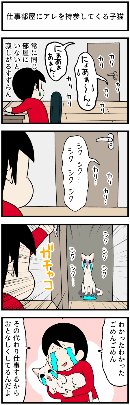 20210906持参する1