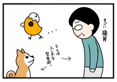 6.png