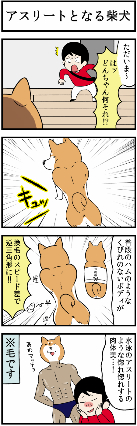 20211124換毛と似てるの2