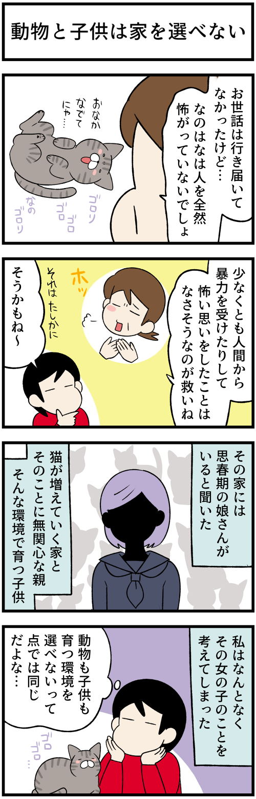 20220817猫達のその後2
