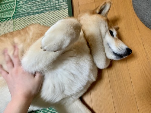FullSizeRender