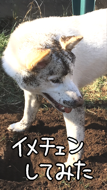 gekmnvhe