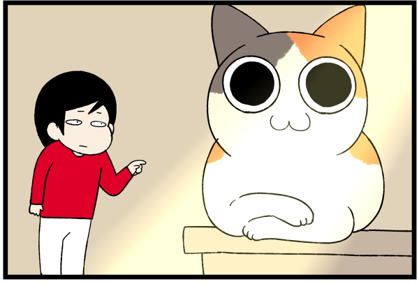 20260706猫らしさを教えた3