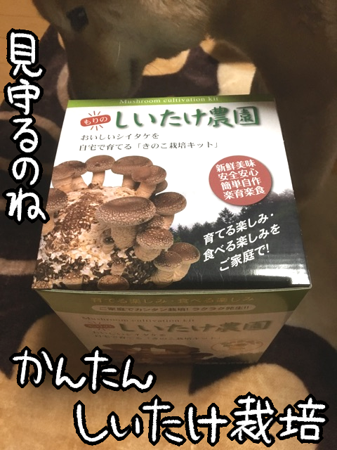 w4q7rcv4