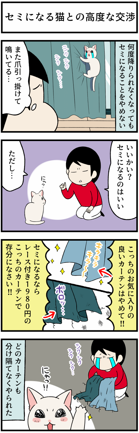 20211009セミとの交渉1