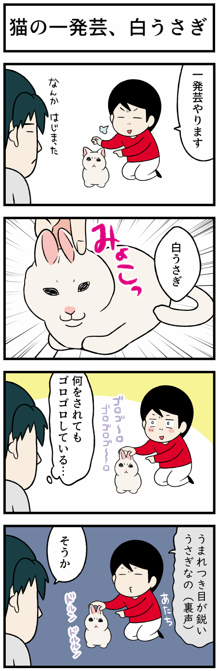 20211207パンとうさぎ2