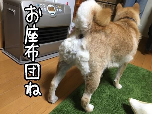nruwy9yt