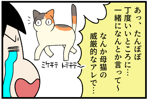 子猫のいたずらを母猫（っぽい者）に言いつけたところ… : 柴犬どんぐり