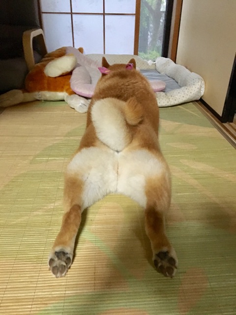 FullSizeRender
