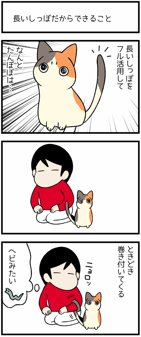 20191028へび1