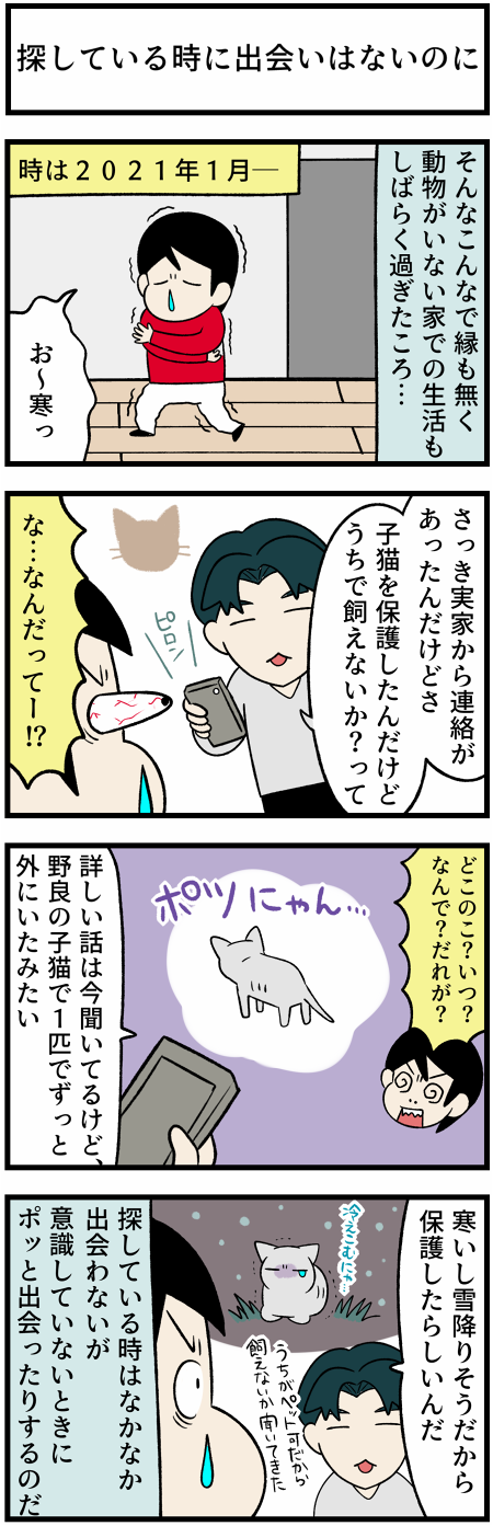 20210526突然の出会い1