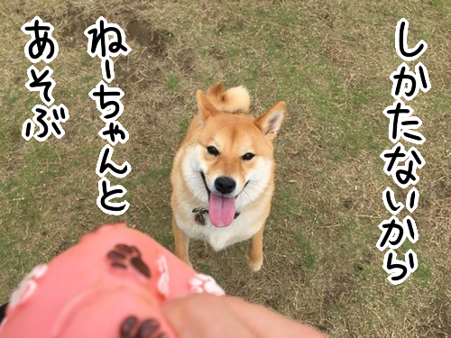 0b74mg9q