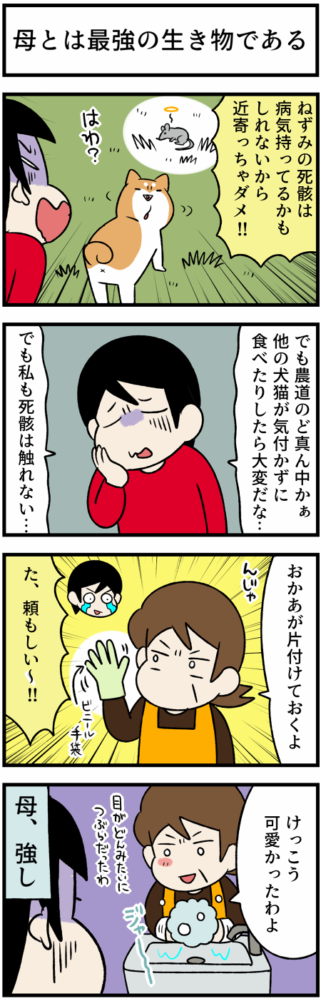20210414ねずみ2