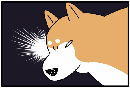 柴犬と猫が「ある事」を互いに譲れず、不毛な争いをはじめた