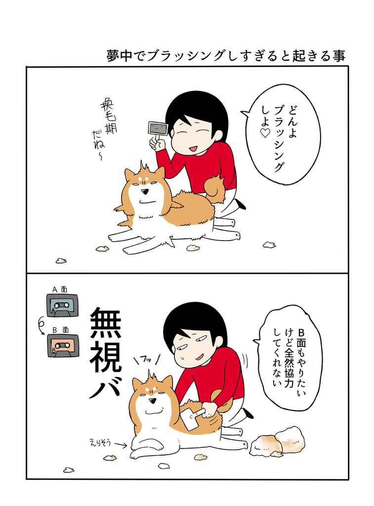 20260511ブラッシング