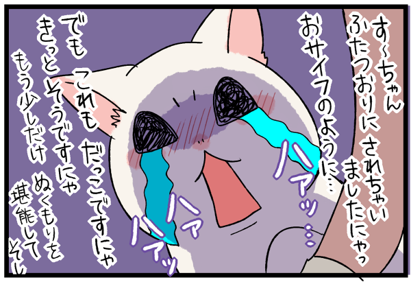 20260929二つ折り猫3