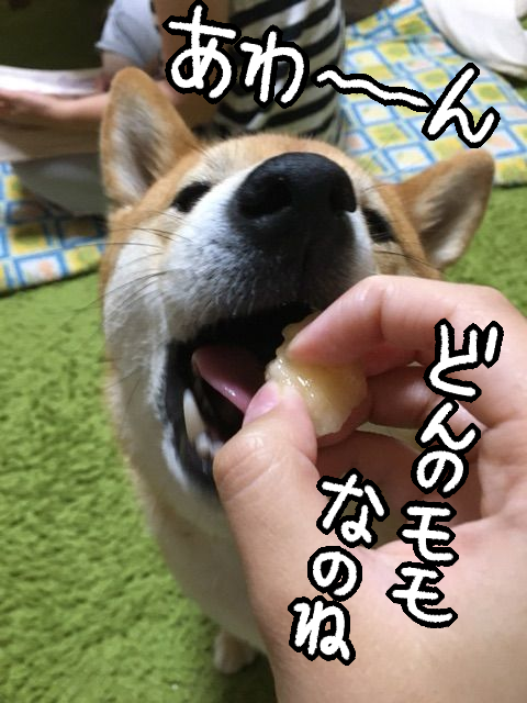 v0tvl6vx