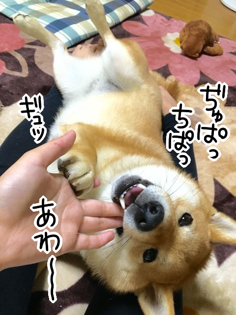 0ekwlqhn