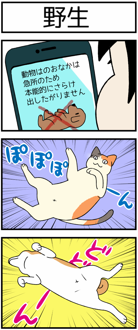 20200808本能1